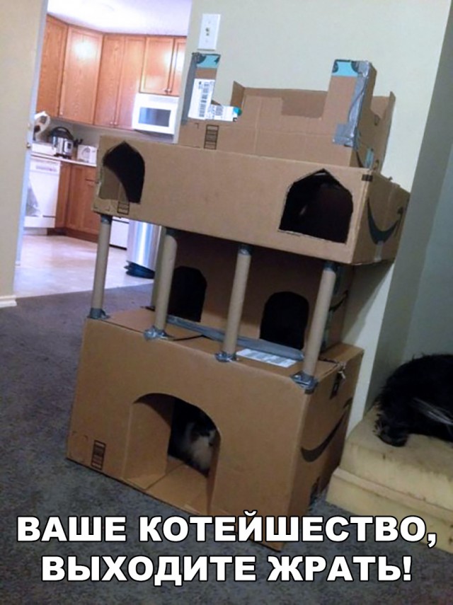 Немного милоты