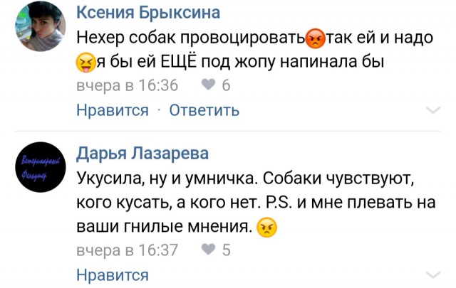 Как лживая зоозащита травит людей за бродячих псов