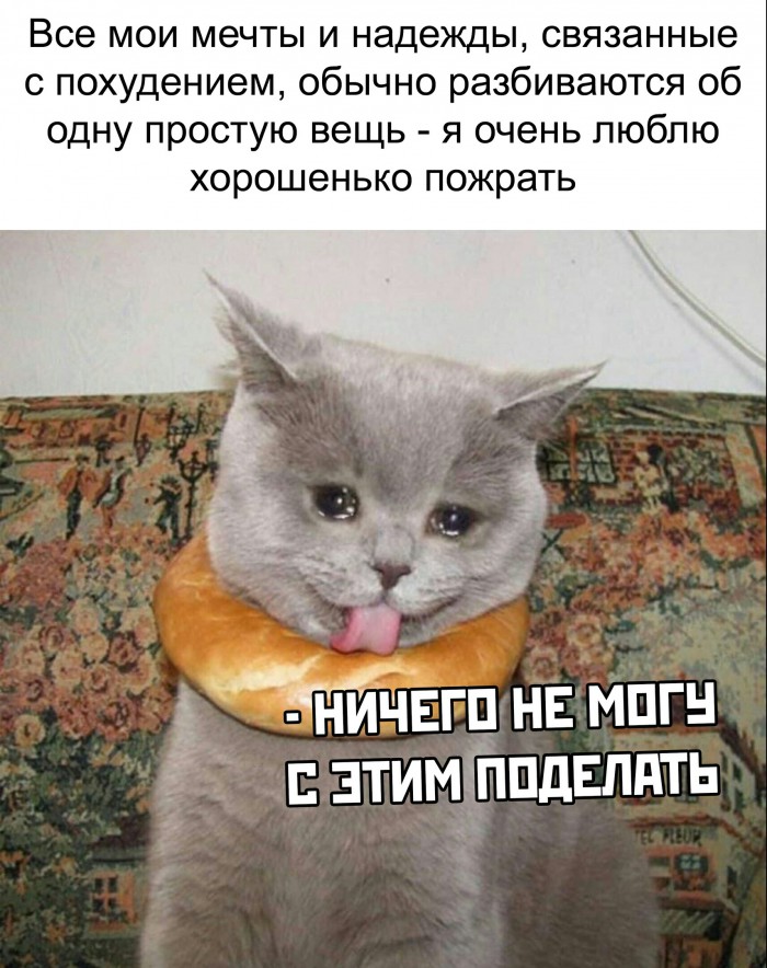 Бредзона