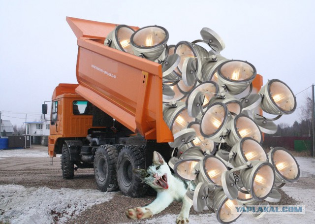 ЯПовцы, помогите советом.