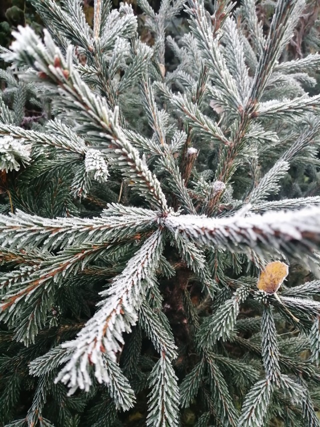 Неужели женщины ради денег готовы на все?