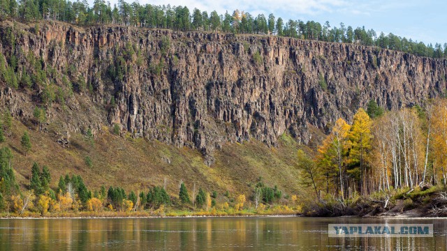 Сам себе фотограф