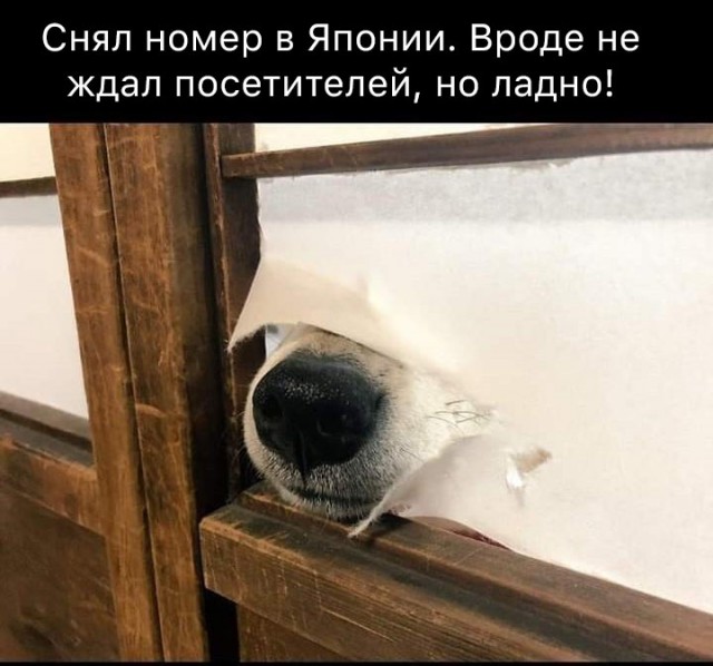Чуток картинок 22.01.2020