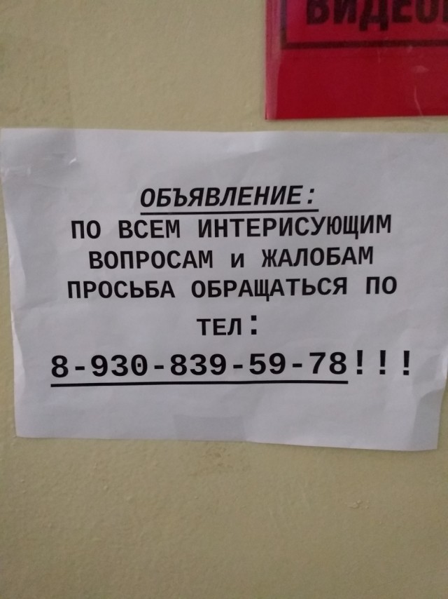 А какое у вас последнее фото на телефоне?