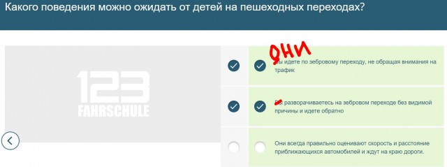 Как не надо переходить дорогу