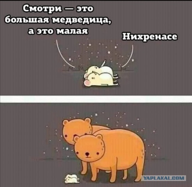 Немного картинок для настроения 26.10.20