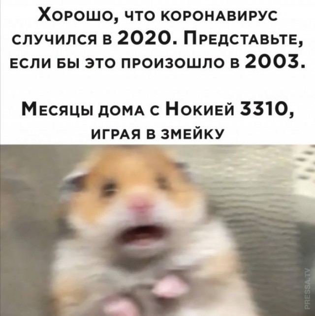 14872357.jpg