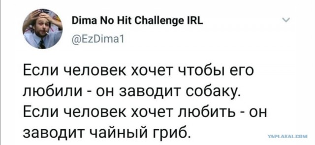 Бредзона 15.11.20