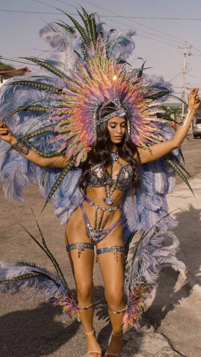 Карнавальных птичек пост