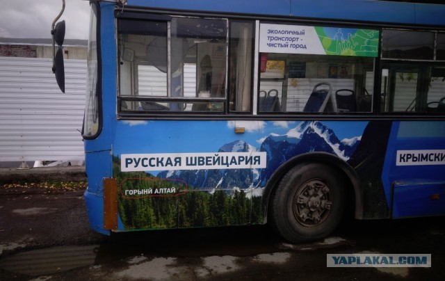 Перлы 29.03.2021