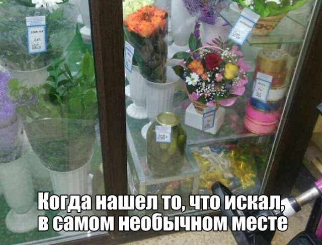 Картинки и мемы для настроения 21.06.2021