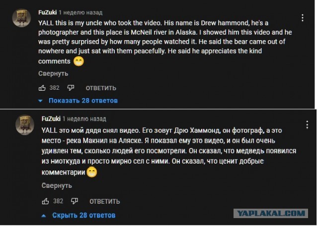 На Камчатке медведю стало скучно и он решил присоединиться к рыбакам