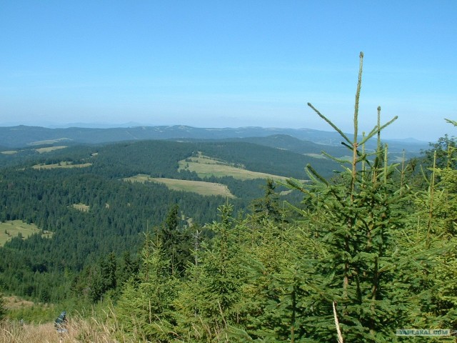 Карпаты, Закарпатье.