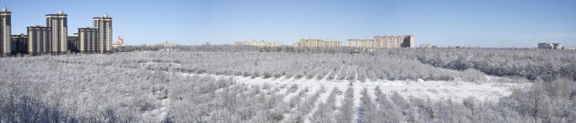 Накормить стаю волков