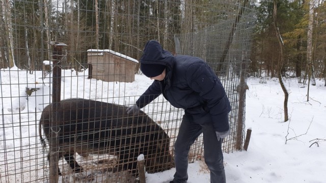 А лицензии-то нет...
