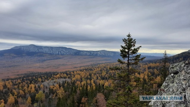 Мое небольшое увлечение. Мобильная фотография