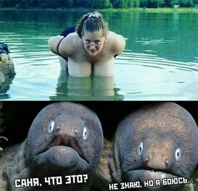 Немного картинок и прочей хреноты Vol. 10