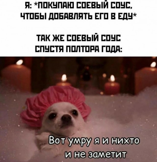 Весёлый полтишок 17.05.22