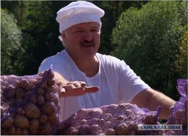Пятница. Что пьем, коллеги?