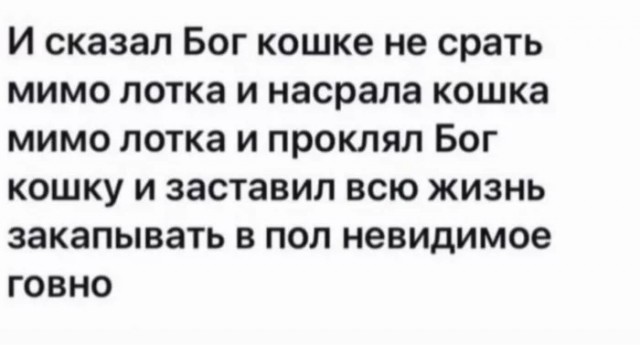 Так себе картинки 22.11.22