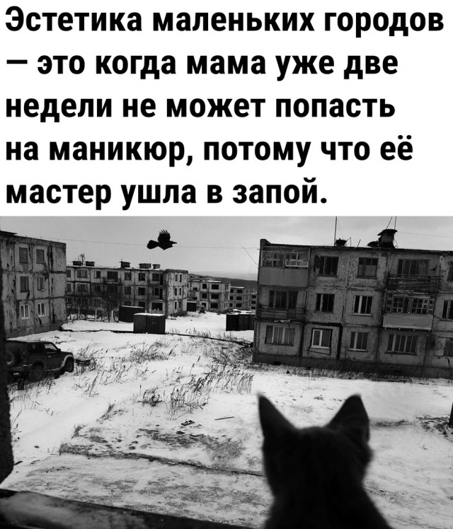 Так себе картинки 17.12.22