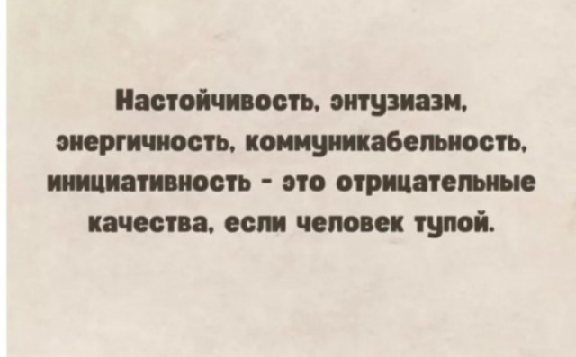 В Выборге лис преодолел страх и недоверчивость и попросил кусочек хлеба у человека