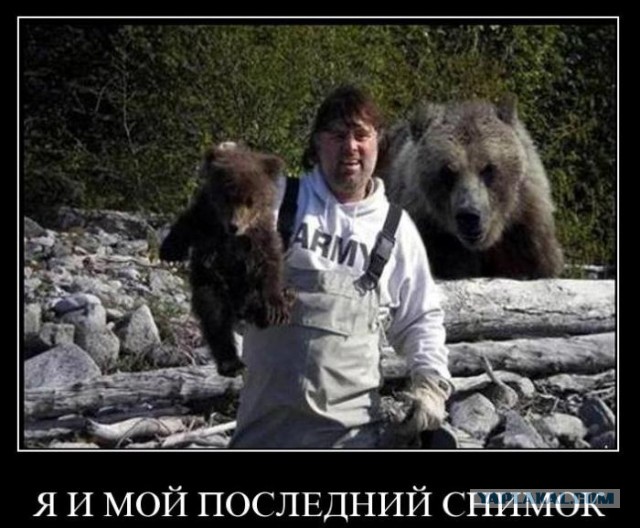 Медведь неожиданно появился на съемках