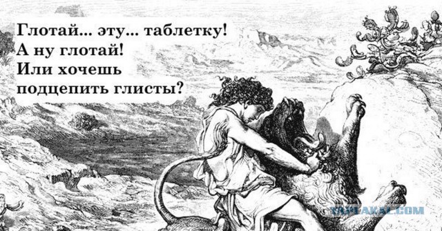 Котик в шоке от польского