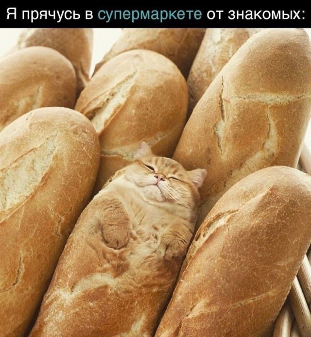 Юмор в картинках и без 20.01.2023