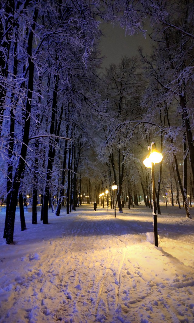 Моя мобильная фотография