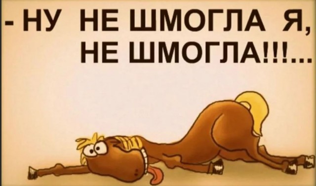 Победная поступь идиотизма по планете – том 12