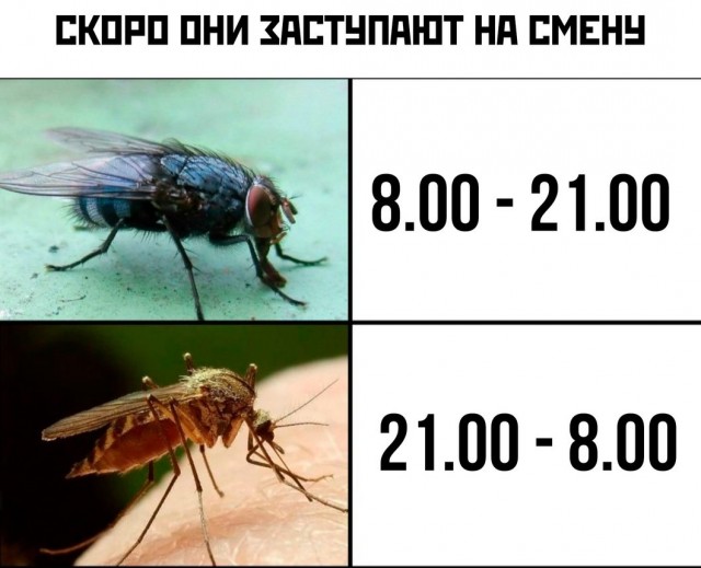 Забавные комментарии из социальных сетей 01.05.23