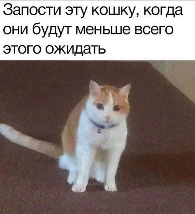Всего понемногу. Пятничный выпуск