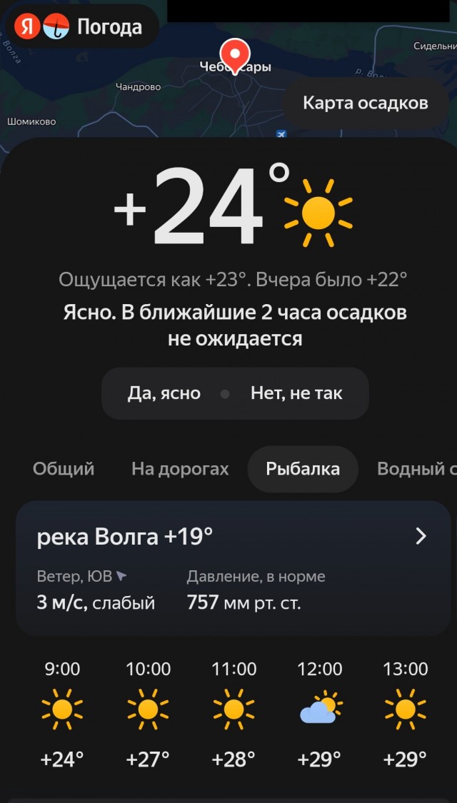 Чуток картинок 25.05.23