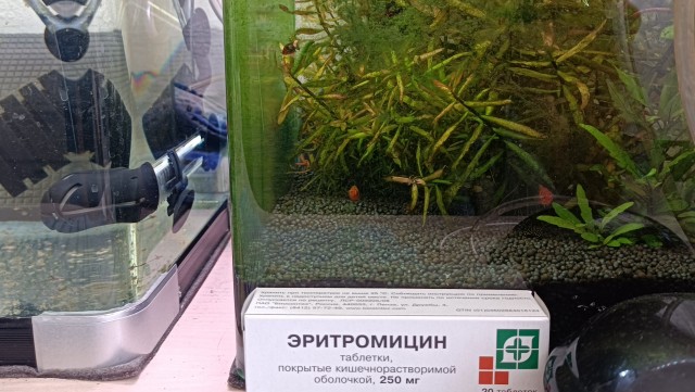 Будни аквариумиста Часть 2