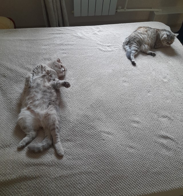 Вот