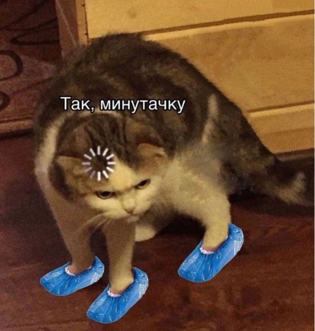 Что такое петербуржец 95-го уровня