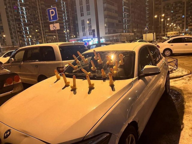 Подборка интересных и веселых картинок 15.02.24