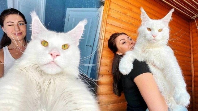 ФотоВинегрет из 55 пикч