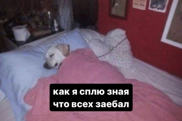 Всего понемногу. От 08.04.2024