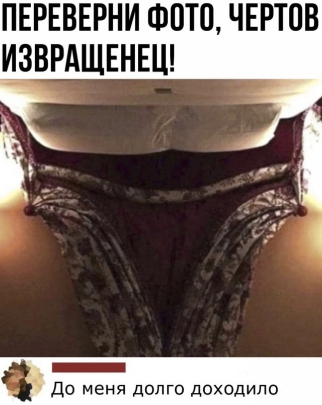 Весёлый полтишок 04.06.24