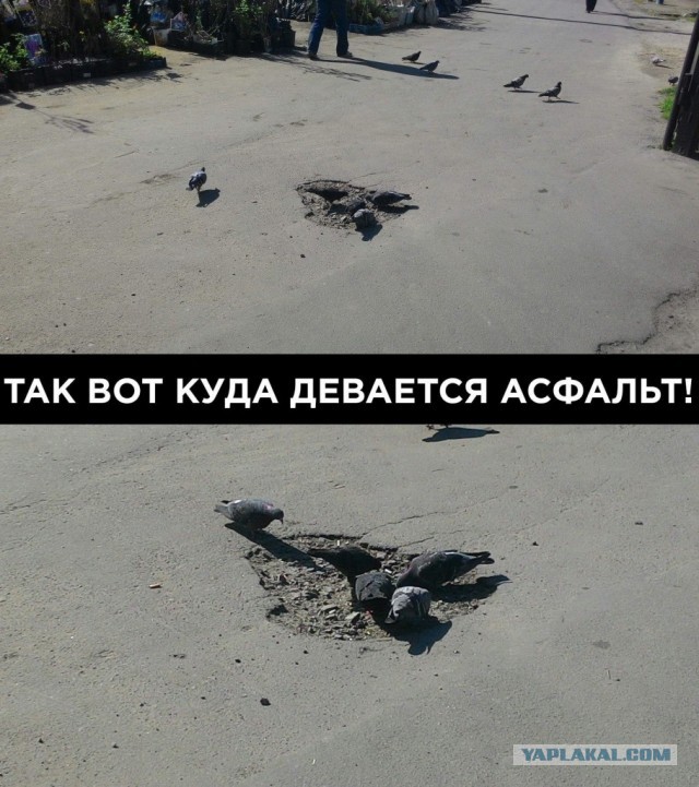 В плохих дорогах виноваты водители, заявил чиновник