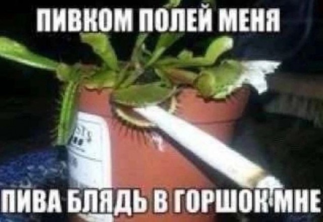 Прикольные и просто красивые картинки 12.07.2024