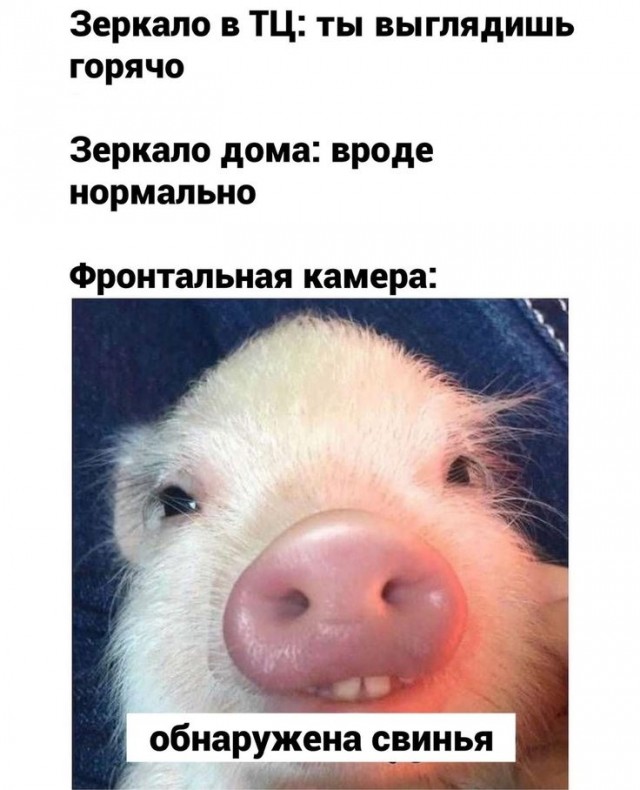 Ракурс решает всё