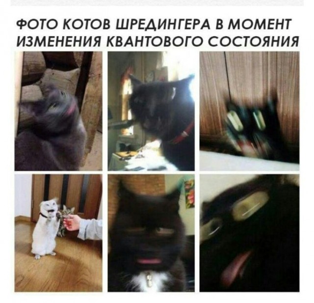 Началась серия экспериментов с целью доказать, что Вселенная — симуляция