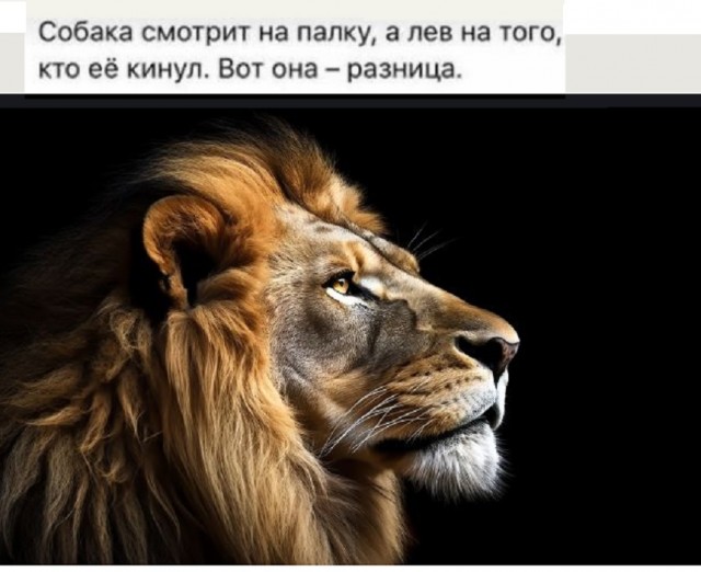 Картинки разные с надписями и без