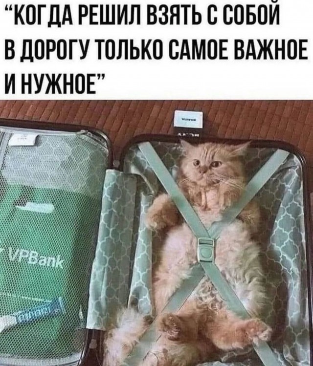 Завалялось тут случайно немного забавных картинок