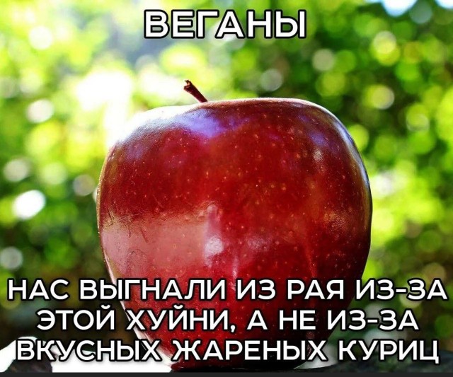 Нуштош 13.12.2024