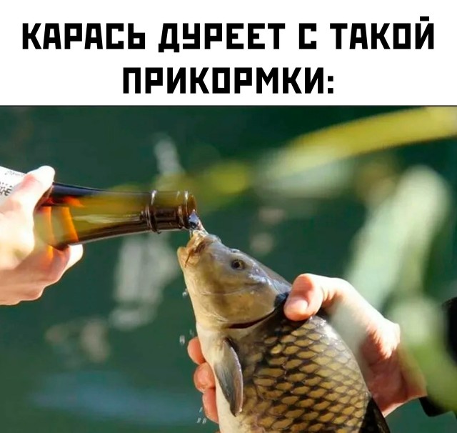 Так себе картинки 28.12.24