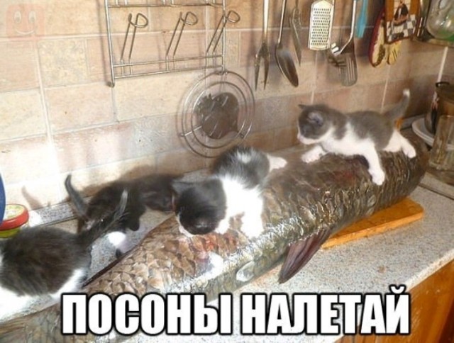 Всего понемногу. От 17.01.2025